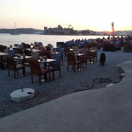 Merih Bodrum